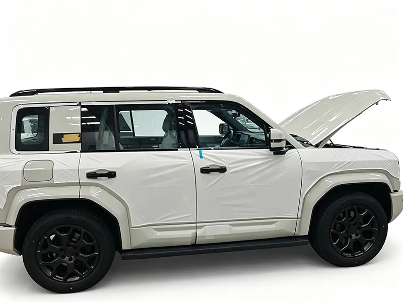 Paste type car wrap