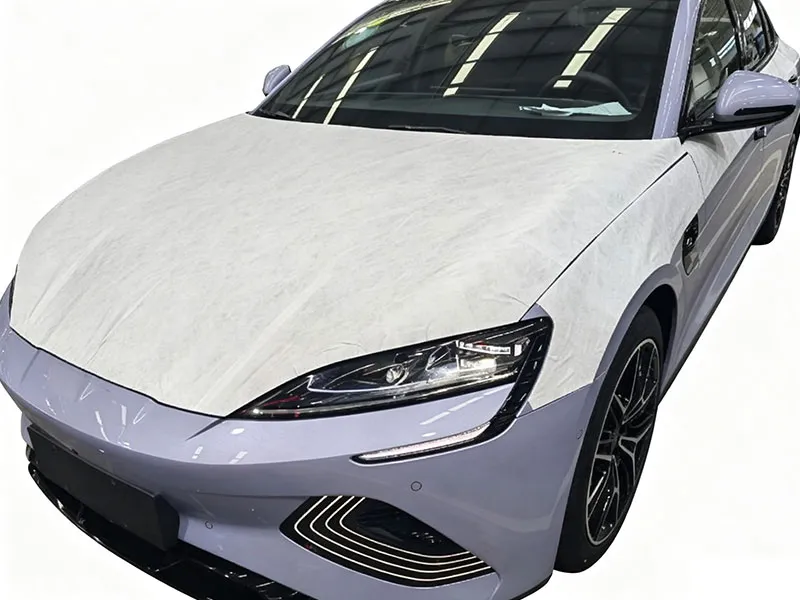 Paste type car wrap